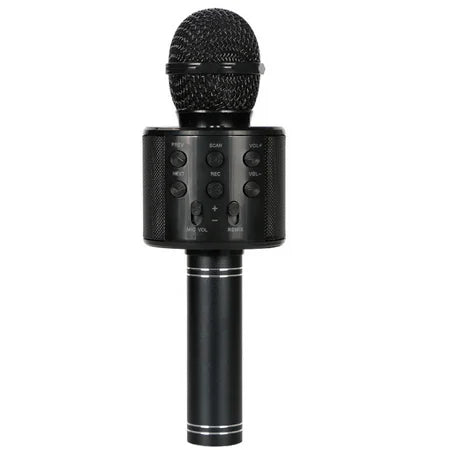 Chargeable Mic